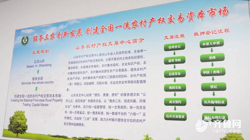 产权交易平台