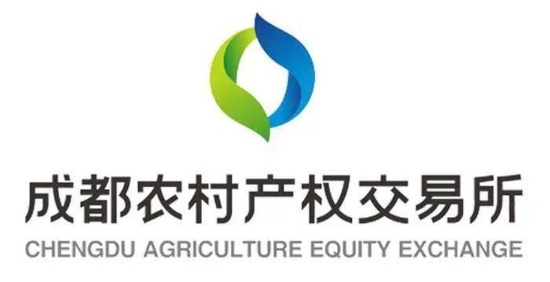 选购产权交易所的一站式指南